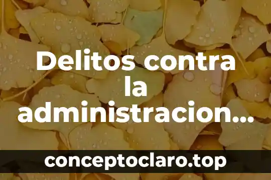 Que es hacerle justicia a una persona 4 Delitos contra la administracion de justicia que es