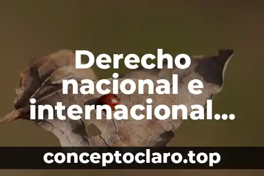 Que es la inversion financiera internacional 4 Derecho nacional e internacional que es