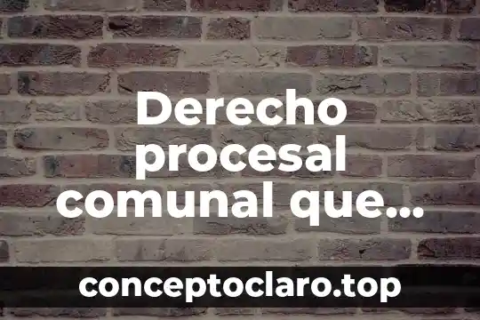Que es un echo procesal y acto procesal 6 Derecho procesal comunal que es
