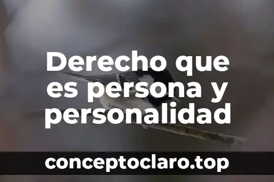 Derecho que es persona y personalidad