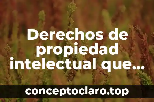 Derechos de propiedad intelectual que es