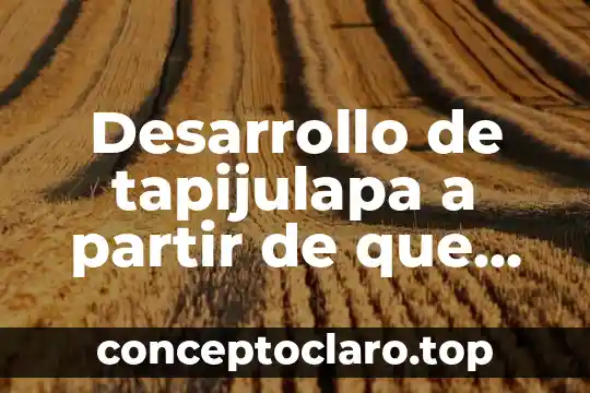 Desarrollo de tapijulapa a partir de que es pueblo magico