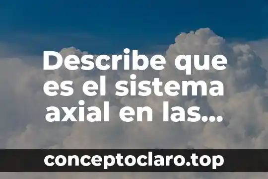 Describe que es el sistema axial en las plantas
