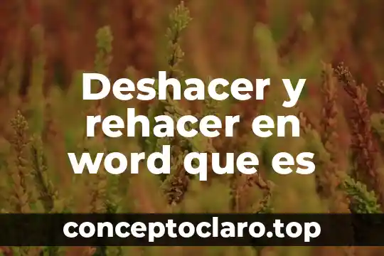 Deshacer y rehacer en word que es