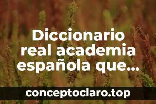 Que es acción real academia española 4 Diccionario real academia española que es universidad