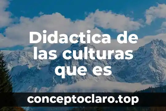 Que es culturas emergentes concepto y definicion 5 Didactica de las culturas que es