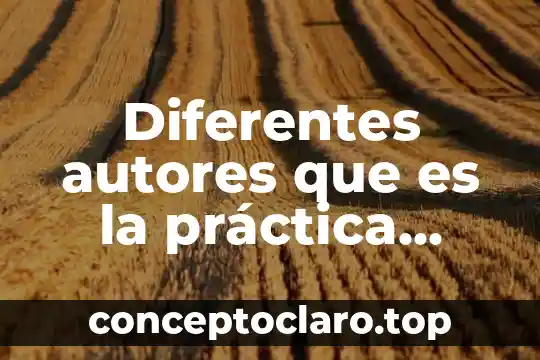 Diferentes autores que es la práctica docente