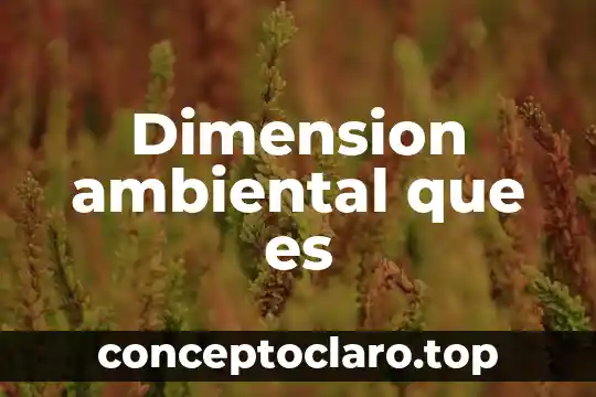 Que es conservacion ambiental in situ 4 Dimension ambiental que es