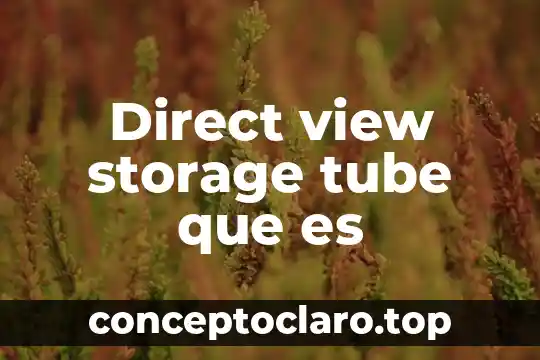 Direct view storage tube que es
