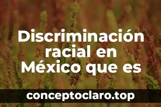 Qué es la inversión privada México 3 Discriminación racial en México que es