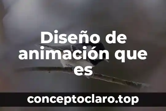 Diseño de animación que es