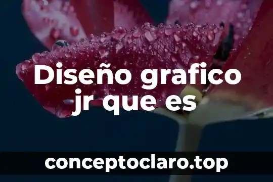 Diseño grafico jr que es