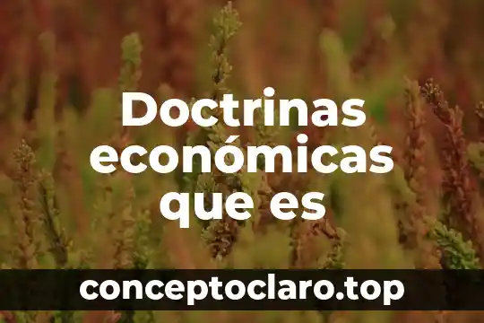 Doctrinas económicas que es