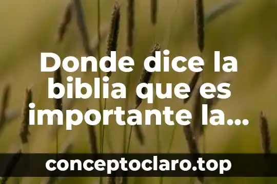 Porque mi hijo dice que es niña 4 Donde dice la biblia que es importante la enseñanza