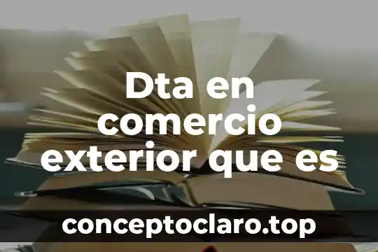 Dta en comercio exterior que es
