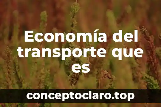 Economía del transporte que es