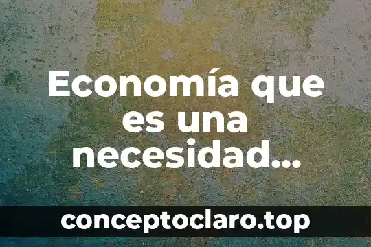 Economía que es una necesidad económica
