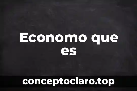 Economo que es