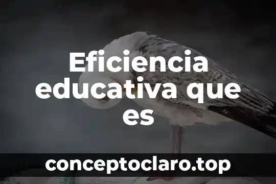 Eficiencia educativa que es