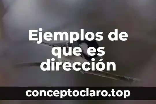 Ejemplos de que es dirección
