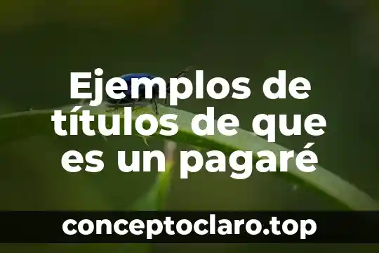 Por que es necesario un gerente general 6 Ejemplos de títulos de que es un pagaré