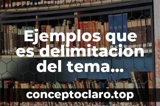 Ejemplos que es delimitacion del tema campo profesional del contador