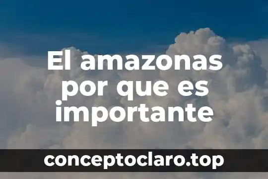 El amazonas por que es importante