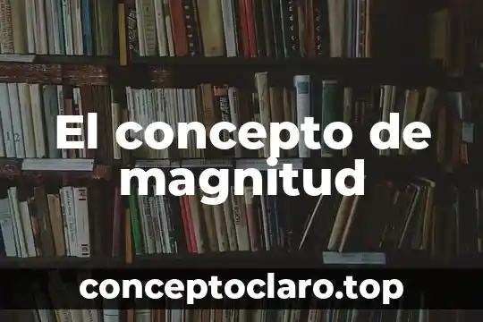 Qué es un concepto tecnología 8 El concepto de magnitud