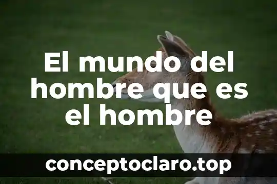 Que es el hombre para tomas moro 3 El mundo del hombre que es el hombre