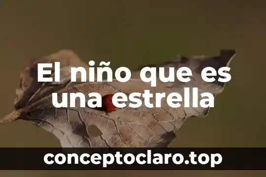 El sol que es un planeta o una estrella 7 El niño que es una estrella