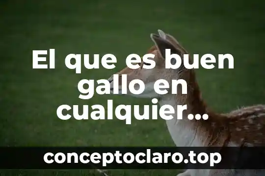 Que es el buen trato al cliente 6 El que es buen gallo en cualquier escuela