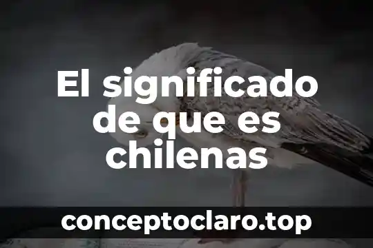 Que es un informe de práctica 6 El significado de que es chilenas