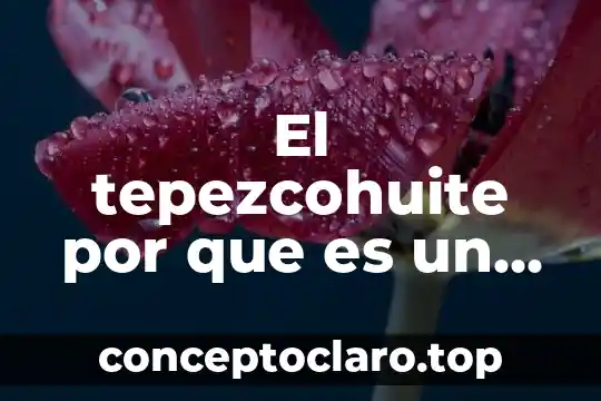 Que es el primer caso reportado 3 El tepezcohuite por que es un caso de biopiratería