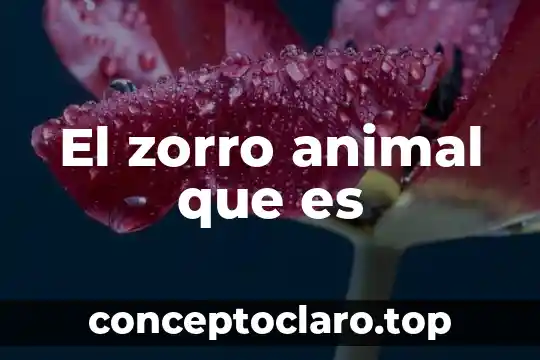 El zorro animal que es