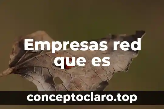 Empresas red que es
