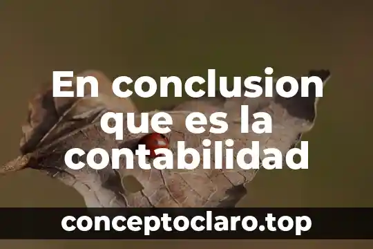 En conclusion que es la contabilidad