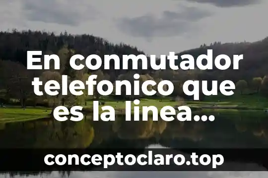 Que es una planta piloto para poliestireno expandido 4 En conmutador telefonico que es la linea piloto