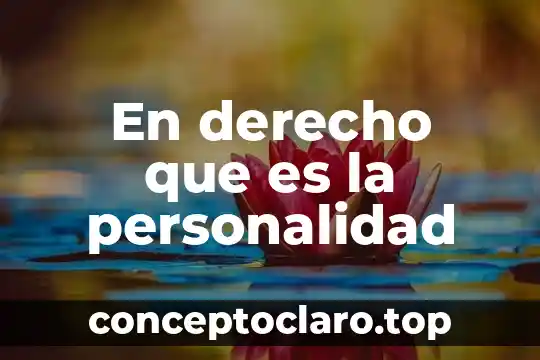 Por que es importate conocer la personalidad de una persona 4 En derecho que es la personalidad