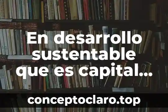 En desarrollo sustentable que es capital ecológico