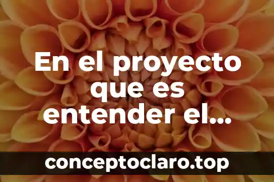 En el proyecto que es entender el problema