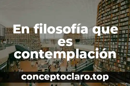 Que es oscurantismo en filosofía 4 En filosofía que es contemplación