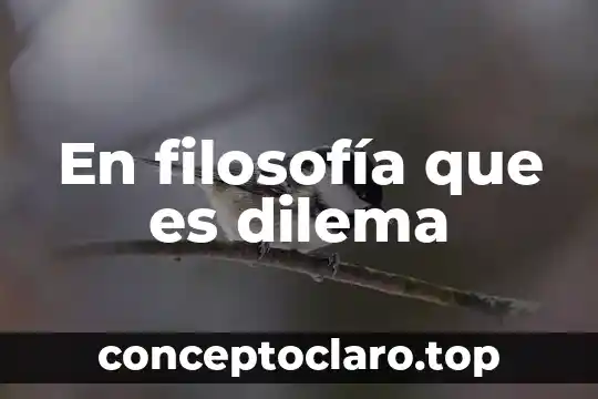 En filosofía que es dilema