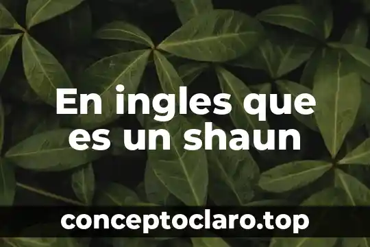 Qué es su significado quantifiers en inglés 7 En ingles que es un shaun