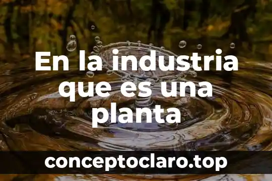 En la industria que es una planta