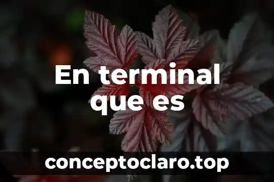 En terminal que es