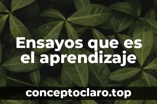 Ensayos que es el aprendizaje