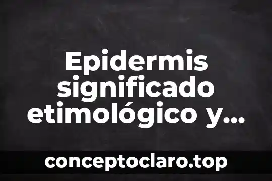 Esvásticas significado 8 Epidermis significado etimológico y que es