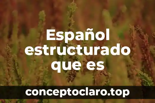 Español estructurado que es