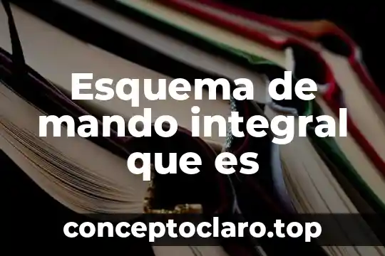 Esquema de mando integral que es