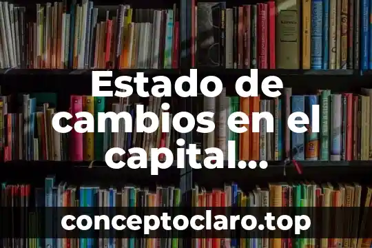 Que es una hoja electronica en el proceso contable 5 Estado de cambios en el capital contable que es